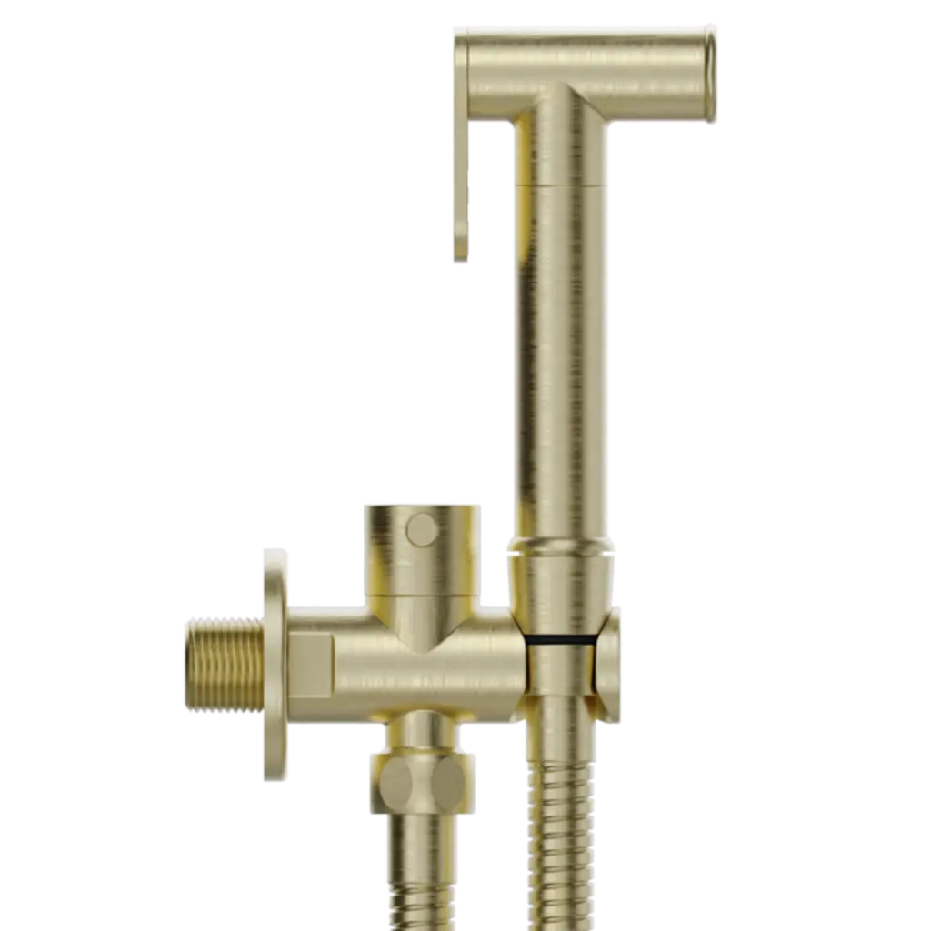 para pagina - 2025-11-05T102557.499.webp