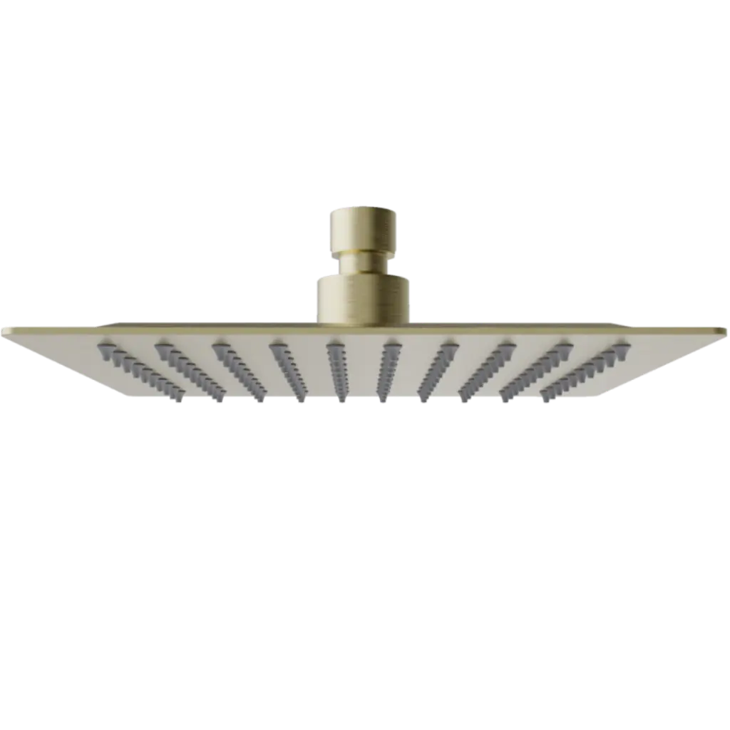 para pagina - 2025-11-09T101620.029.webp