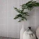 para pagina - 2025-11-24T092835.259.webp