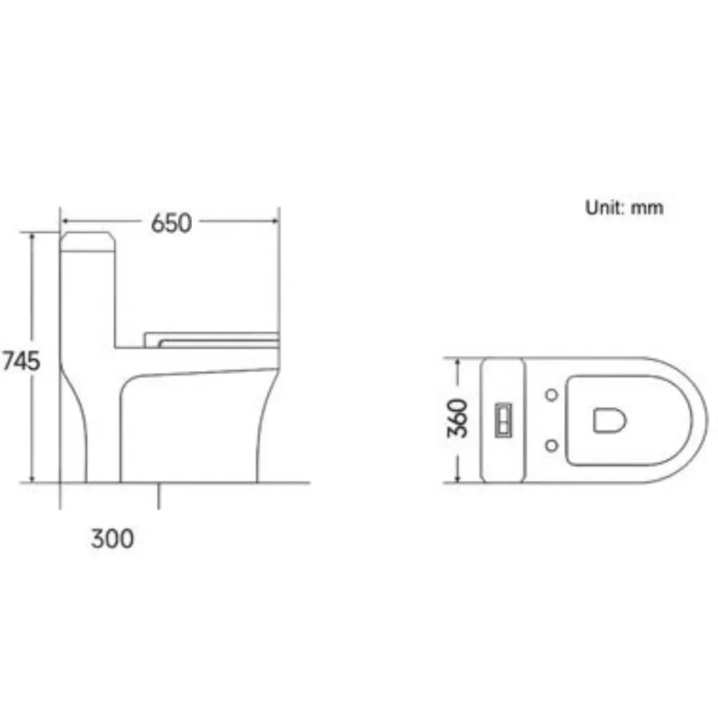 para pagina - 2026-01-05T160050.917.webp