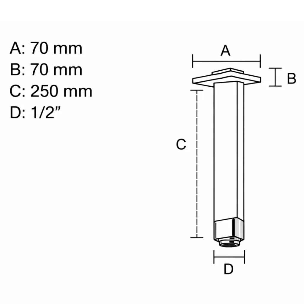 para pagina (75).webp