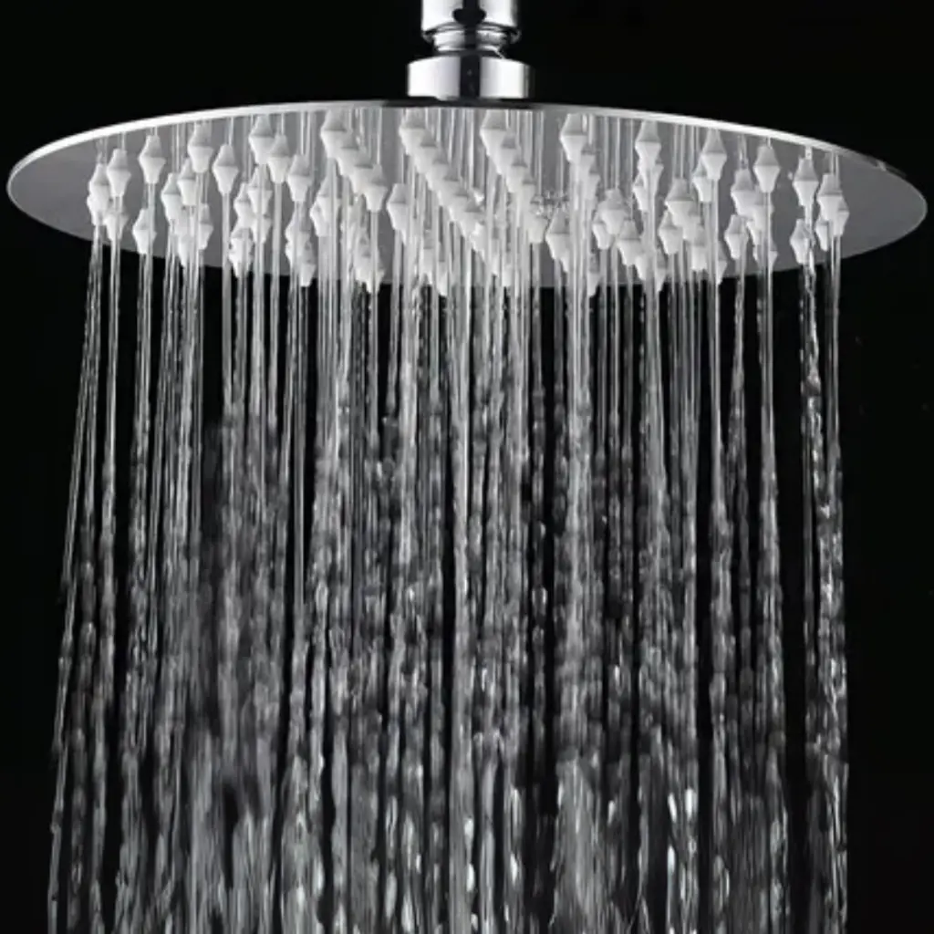 para pagina (73).webp