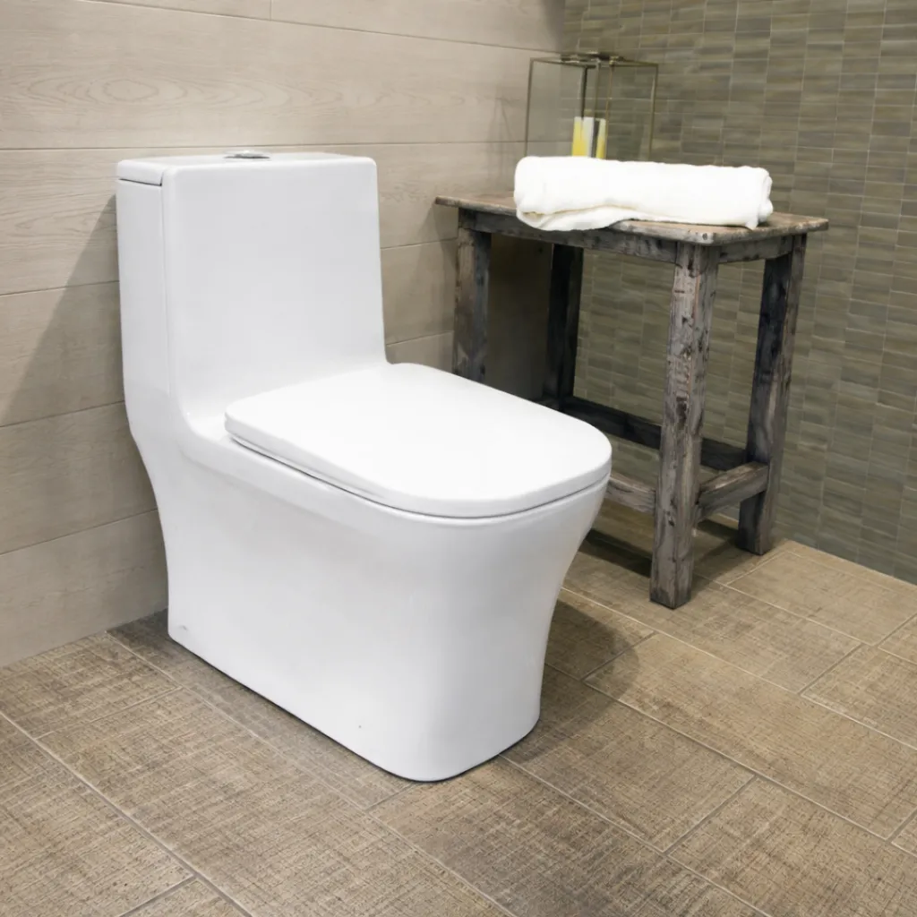 para pagina - 2026-01-08T150704.253.webp