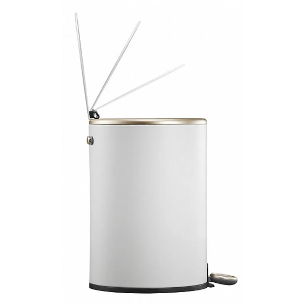 para pagina - 2026-01-14T124042.263.webp