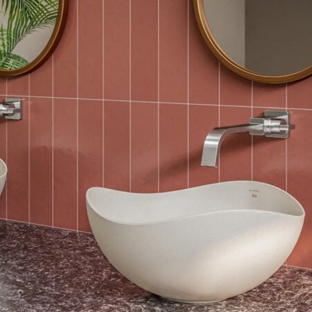 para pagina - 2026-01-21T094546.468.webp