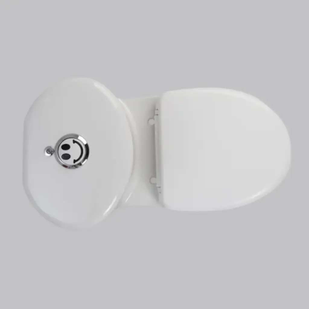 para pagina (17).webp