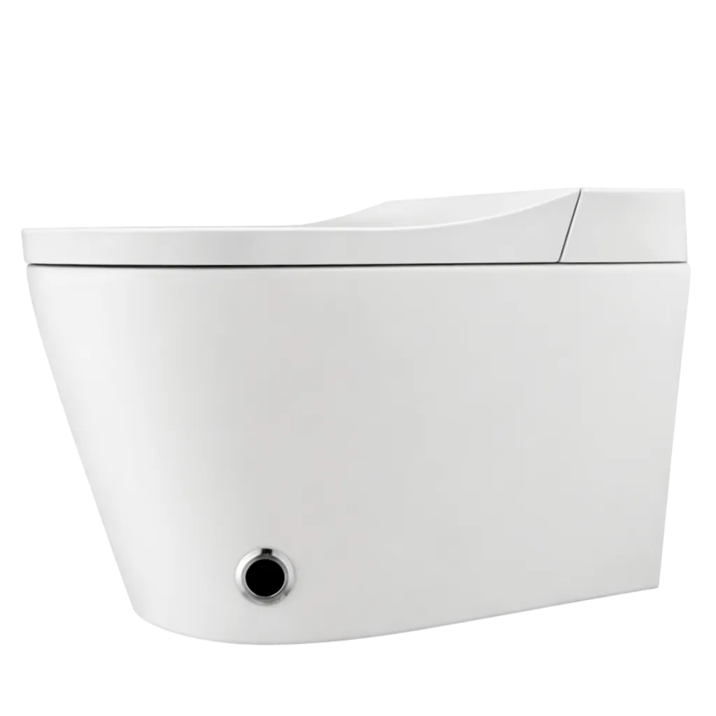 para pagina - 2026-01-28T211305.000.webp