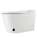 para pagina - 2026-01-28T211305.000.webp