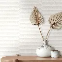 para pagina - 2026-01-29T162451.484.webp