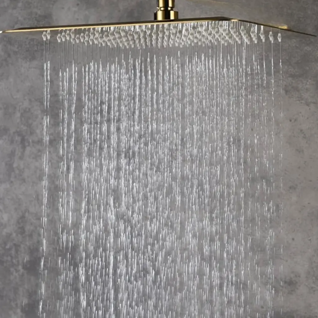 para pagina (86).webp