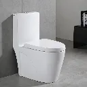 para pagina (11).webp