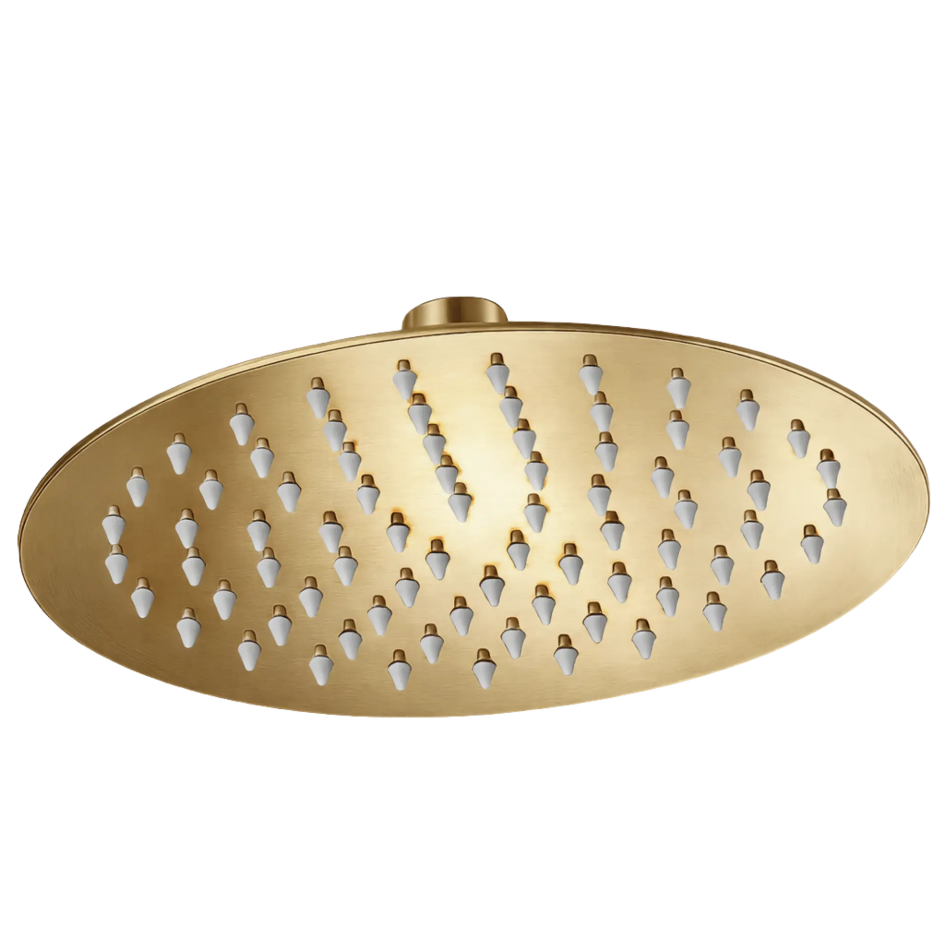 DUCHA REGADERA REDONDA RONDA 25CM DORADO MATE RIVER