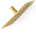 DUCHA REGADERA APOLO 30CM DORADO RIVER