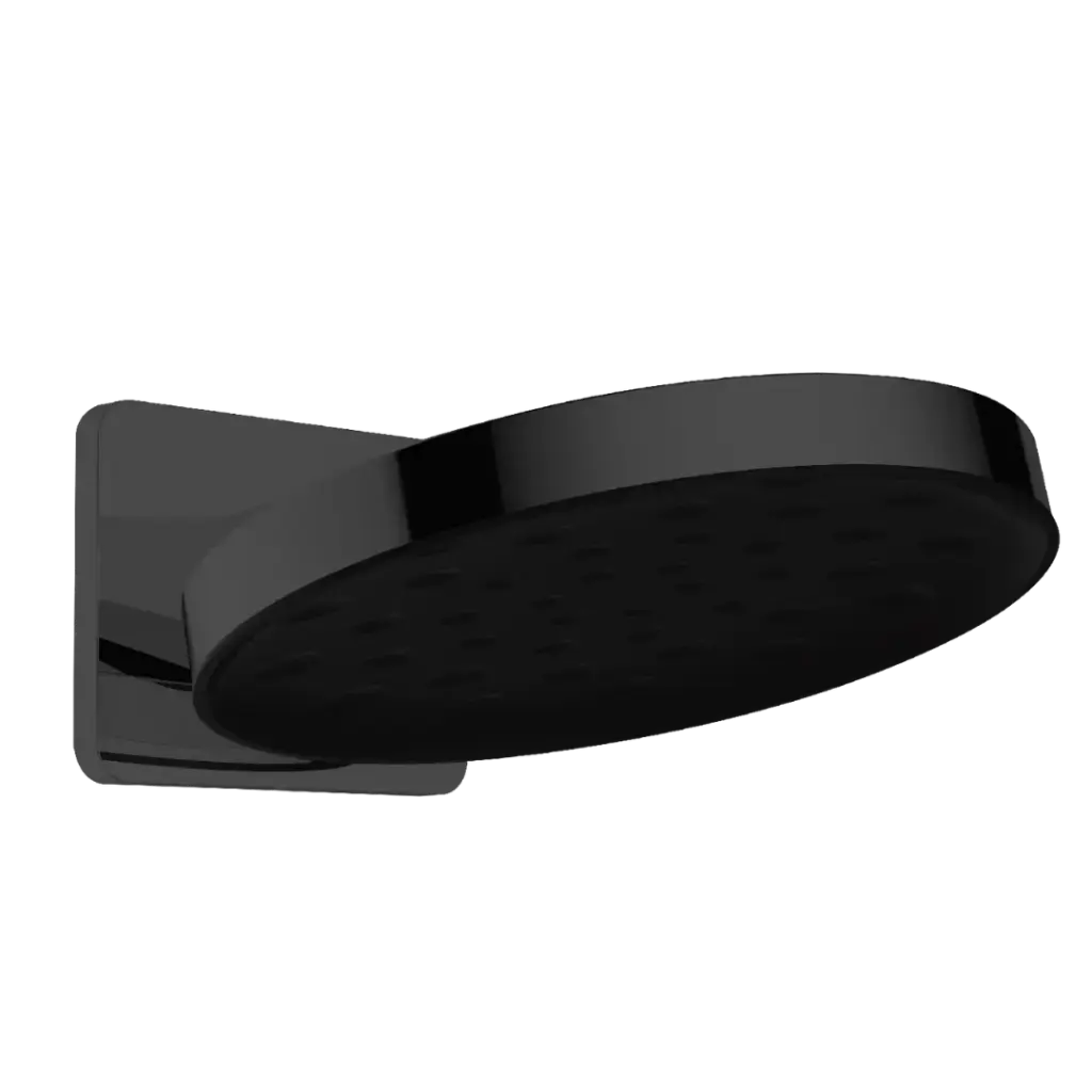 DUCHA REGADERA DE PARED NEGRO MATE BM