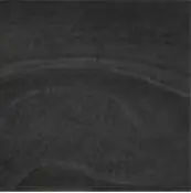 [CAS-PORSANDSTONEBLACK] PORCELANATO 60X60CM SANDSTONE BLACK CASTEL