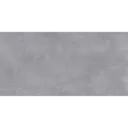 PORCELANATO 60X120CM TORONTO GREY CASTEL