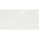 PORCELANATO 60X120CM QUEBEC LIGHT CASTEL