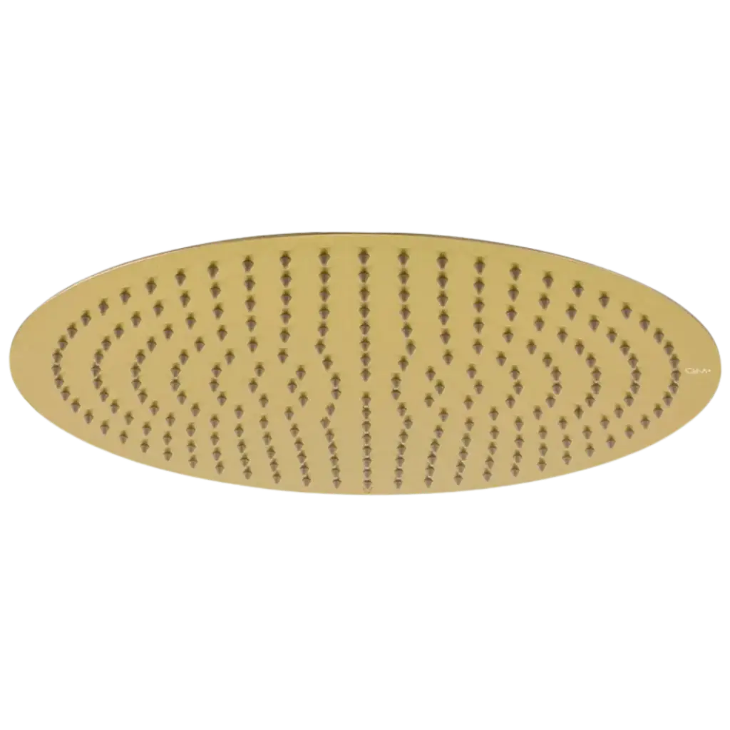 DUCHA REGADERA SUPREME 40CM DORADO MATE QUALITY METAL