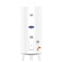 CALENTADOR ELECTRICO 100L RECORD