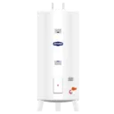CALENTADOR ELECTRICO 120L RECORD
